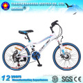 DRAGON 20''/MTB bike/MTB bike for kids/Cool bikes for kids/Mini bikes for kids/Children mountain bike/Mountain bicycle